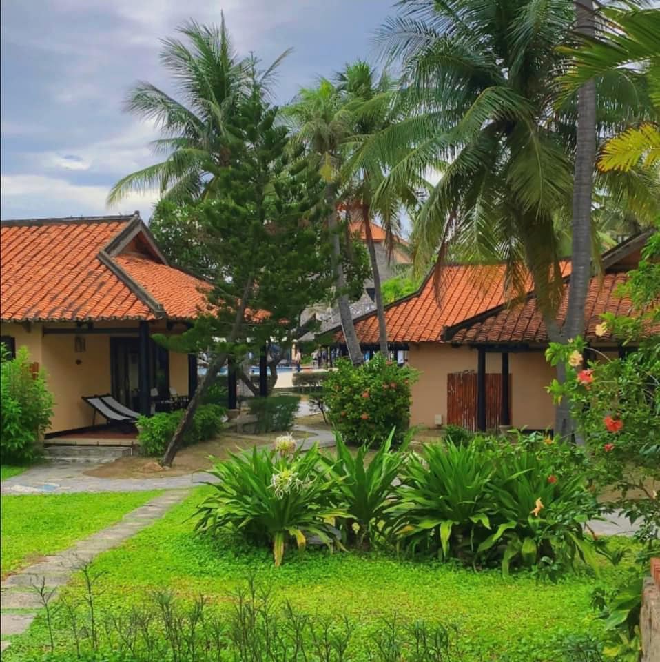 Khám phá thiên đường của biển và cát tại Seahorse Resort & Spa Phan Thiết Khám phá thiên đường của biển và cát tại Seahorse Resort & Spa Phan Thiết
