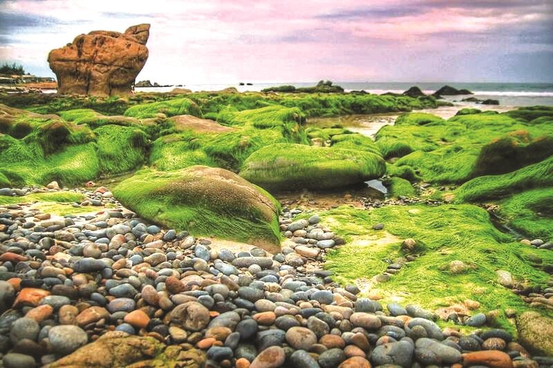 Trekking Tà Năng - Phan Dũng đến biển Cổ Thạch